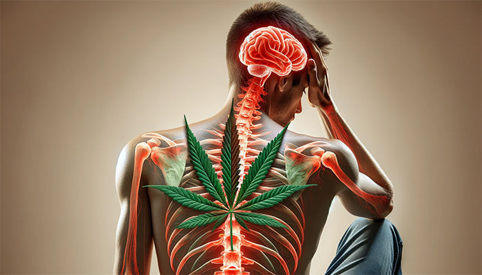 CBD och huvudvärk och migrän