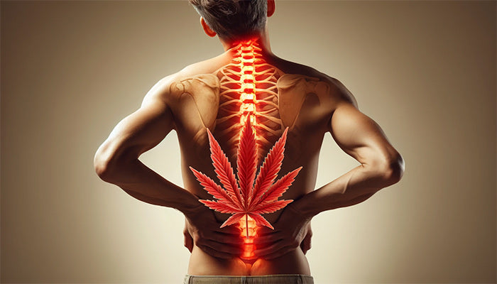 CBD och ryggsmärta