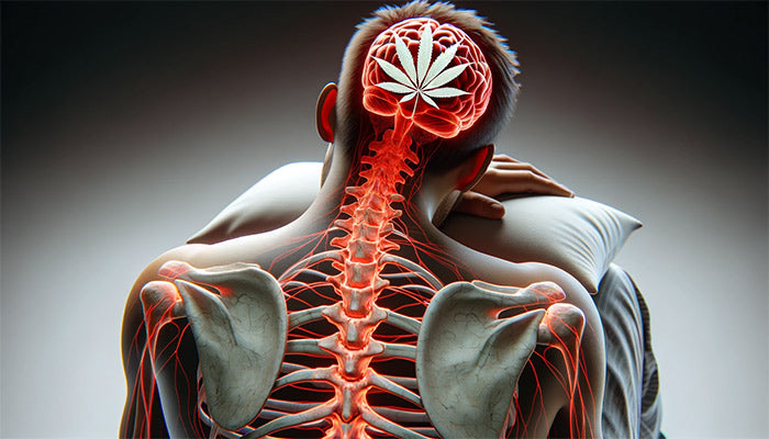 CBD och sömnproblem